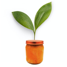 Cargar imagen en el visor de la galería, Jabón potásico