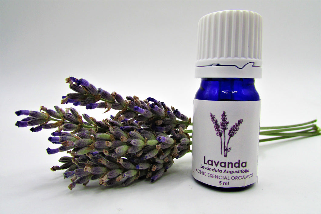 Aceite Esencial Lavanda 5ml